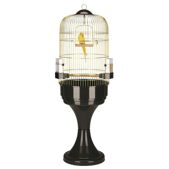 Picture of MAX 6 Antique Brass