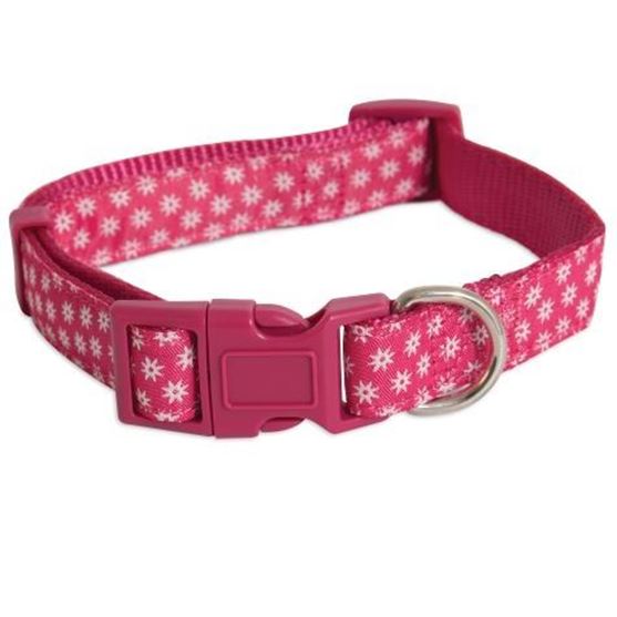 petmate dog collars