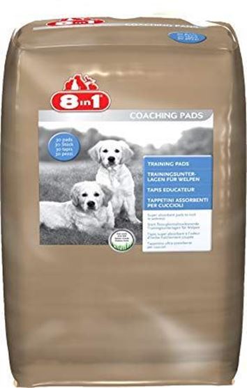 Picture of 8 in 1 Training Pads, Large, Pack of 30 (Grass smell)