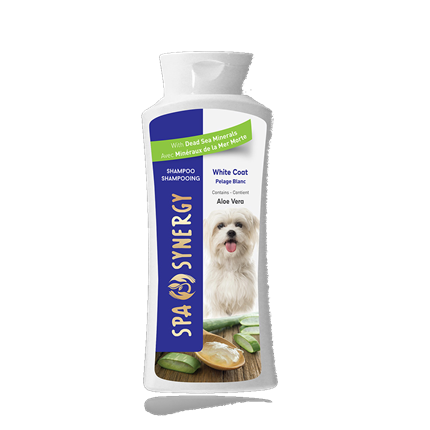 Spa synergy dog shampoo hotsell