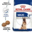 Picture of Royal Canin Maxi Adult 5+ Dry Dog Food - 15kg