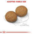 Picture of Royal Canin Medium Adult Dry Dog Food - 4 kg