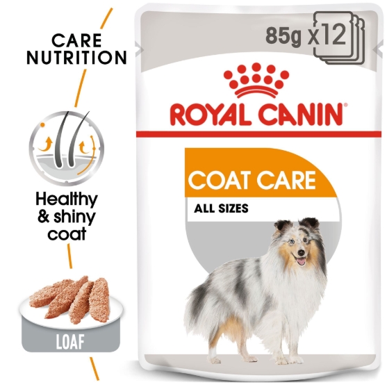 Picture of Royal Canin Coat Care Adult Meat Loaf 85g  ( 12 -Pack)