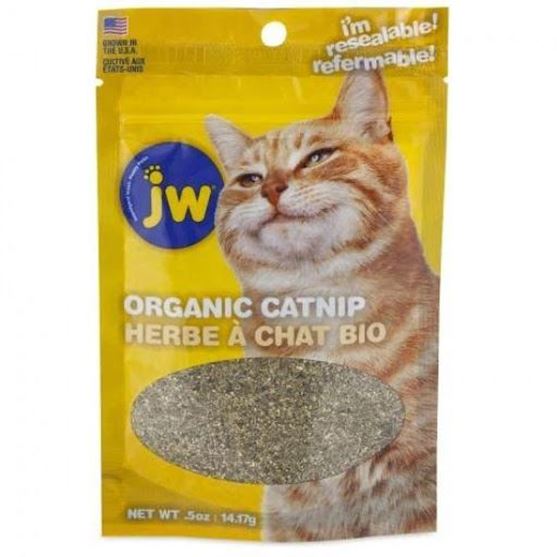 organic catnip