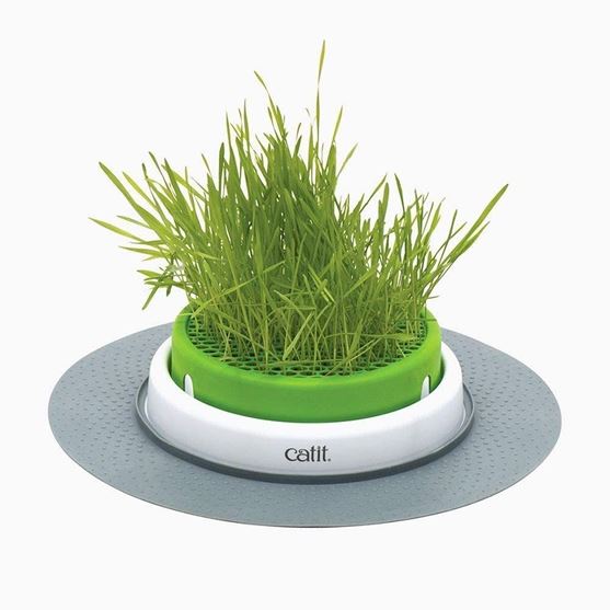 Picture of Catit Senses 2.0 Grass Planter