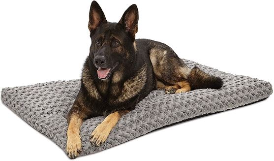 long dog bed