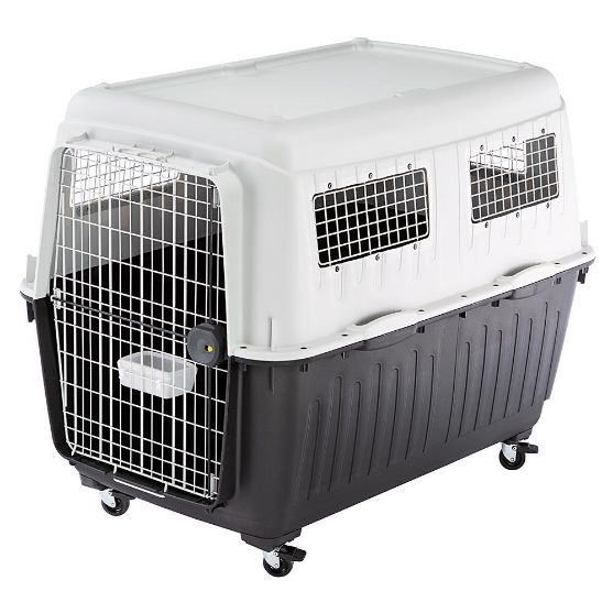 Atlas pet carrier discount