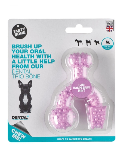 Picture of TastyBone Trio Nylon Rasberry Mint