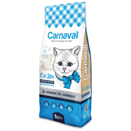 Picture of Carnaval Soap 5ltr (3/pack)  