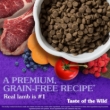 Picture of Taste of the Wild Sierra Mountain Canine with Roasted Lamb – 2 kg Bag