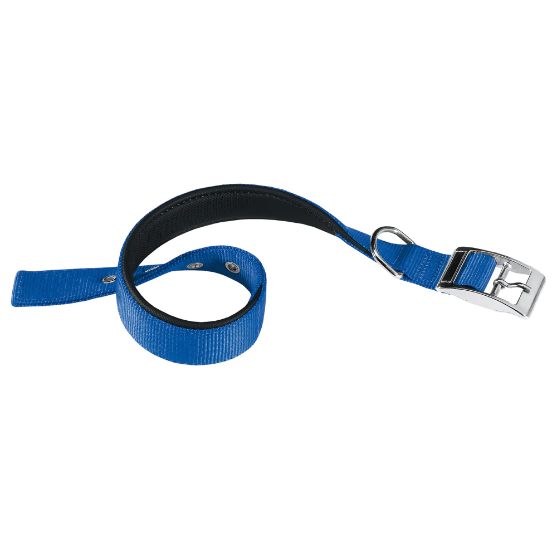 Picture of Ferplast Daytona Collar C30/55 Blue