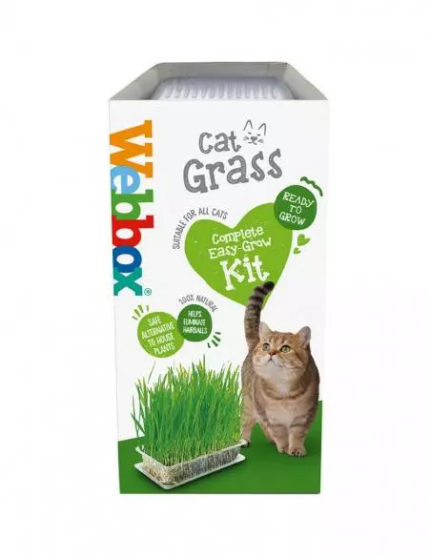Picture of Webbox Cat Grass
