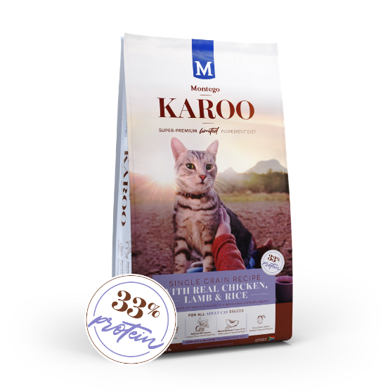 Picture of Montego Single Grain Recipe W/ Real Chicken, Lamb & Rice 4kg