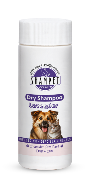 Picture of Shampet Dry Shampoo Lavender 100ml
