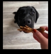 Picture of Jo Pro Dog Chicken Feet (15/pcs)