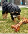 Picture of Jo Pro Dog Smoked Bone (XXL) (1pcs)