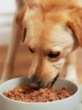 Picture of Jo Pro Dog Raw Food  Chicken With Green Trip 1kg (1/pack)