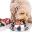 Picture of Jo Pro Dog Raw Chicken Mix 1kg (1/pack)