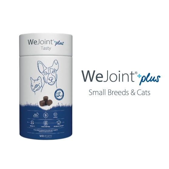 Picture of WeJoint Plus Tasty for Small Dog Breeds & Cats (30 soft-chews)