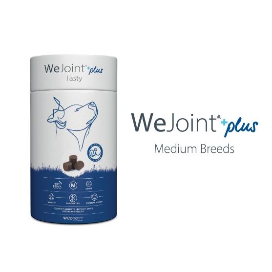 Picture of WeJoint Plus Tasty for Medium Dog Breeds (30 soft-chews)