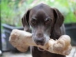 Picture of Jo Pro Dog Smoked Bone(L)(1Pcs)