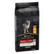 Picture of Limted-time offer : Medium Healthy Start