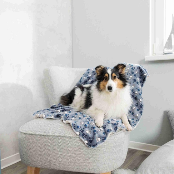 Picture of Triexi Kenny blanket,