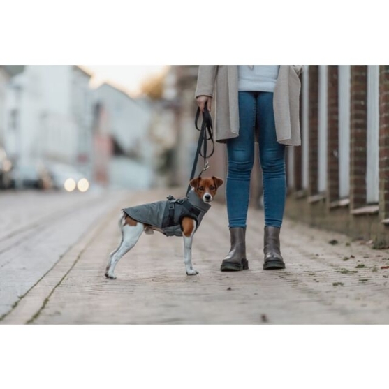 Picture of Wintercoat with harness Pontis Reflect (M)