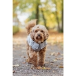 Picture of Trixie Ajou coat, S: 40 cm, blue