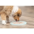 Picture of Junior Licking Plate
