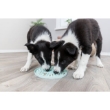 Picture of Junior Licking Plate