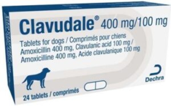 Picture of Clavudale 400 mg/100 mg Tablets for Dogs