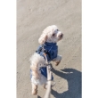 Picture of Trixie BE NORDIC Raincoat Husum   Dog Raincoat S 40cm