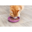 Picture of Trixie Bowl XXL 