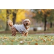 Picture of Trixie Carson hoodie S