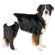 Picture of Trixie Diapers for female dogs, XS–S: 20–28 cm, 12 pcs.