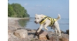 Picture of Trixie Life vest, M: 45 cm, yellow/black