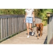Picture of Trixie Premium active harness petrol blue   (M: 49–69 cm/20 mm)