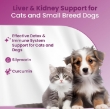 Picture of Bio PetActive Silycumin Milk Thistle & Turmeric Supplement for Cats & Small Breed Dogs 