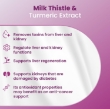 Picture of Bio PetActive Silycumin Milk Thistle & Turmeric Supplement for Cats & Small Breed Dogs 