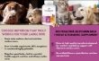Picture of Bio PetActive Silycumin Milk Thistle & Turmeric Supplement for Cats & Small Breed Dogs 