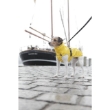 Picture of Trixie Vimy rain coat, M: 45 cm, yellow