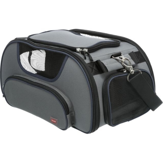 Picture of Trixie Wings airline carrier