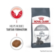 Picture of Royal Canin Dental  Care  cat 1.5kg