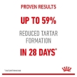 Picture of Royal Canin Dental  Care  cat 1.5kg