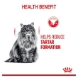 Picture of Royal Canin Dental  Care  cat 1.5kg