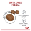 Picture of Royal Canin Dental  Care  cat 1.5kg