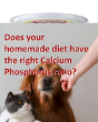 Picture of Calcishell Pet Powder 500 gm