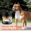 Picture of Bully's Best Bully Fuel Powder 500gm