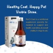 Picture of Ektek Pharma Pet-O-Coat Nutritional Supplement Syrup for Dogs & Cats (200ml)